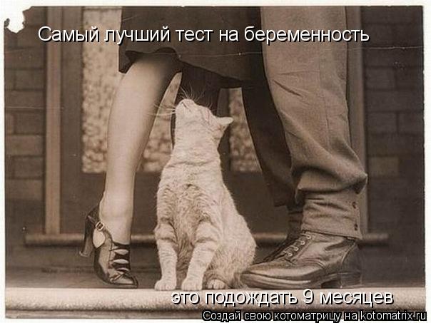 Котоматрица: Самый лучший тест на беременность   это подождать 9 месяцев
