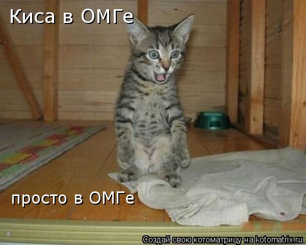 Котоматрица: Киса в ОМГе просто в ОМГе