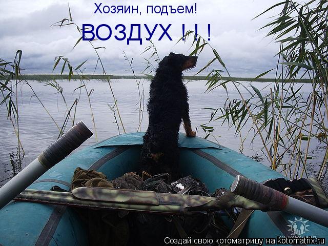 Котоматрица: Хозяин, подъем! ВОЗДУХ ! ! !