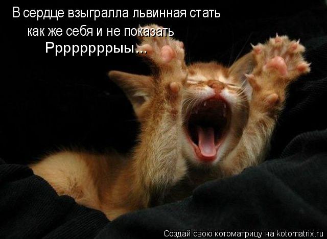 Котоматрица: В сердце взыгралла львинная стать как же себя и не показать Ррррррррыы...