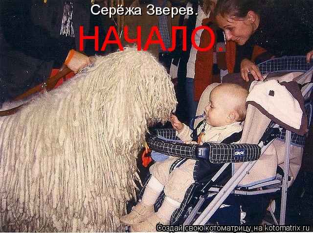Котоматрица: Серёжа Зверев. НАЧАЛО.