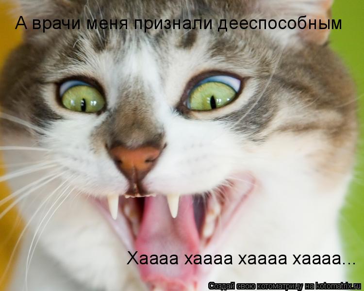 А врачи меня признали дееспособным Хаааа хаааа хаааа хаааа...... Котоматрица: А врачи меня признали дееспособным Хаааа хаааа хаааа хаааа...