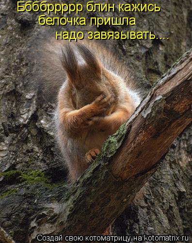 Ббббррррр блин кажись белочка пришла надо завязывать....... Котоматрица: Ббббррррр блин кажись белочка пришла надо завязывать....