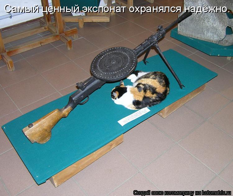 Самый ценный экспонат охранялся надёжно.... Котоматрица: Самый ценный экспонат охранялся надёжно.