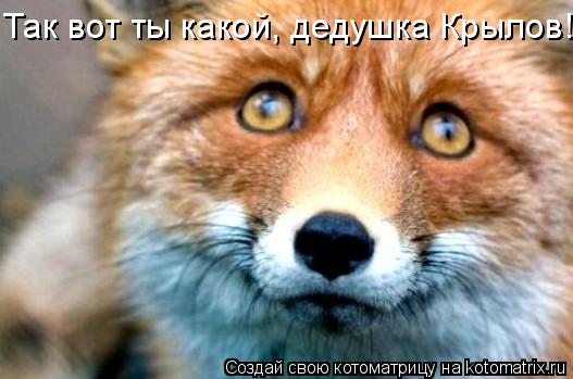 Так вот ты какой, дедушка Крылов!... Котоматрица: Так вот ты какой, дедушка Крылов!
