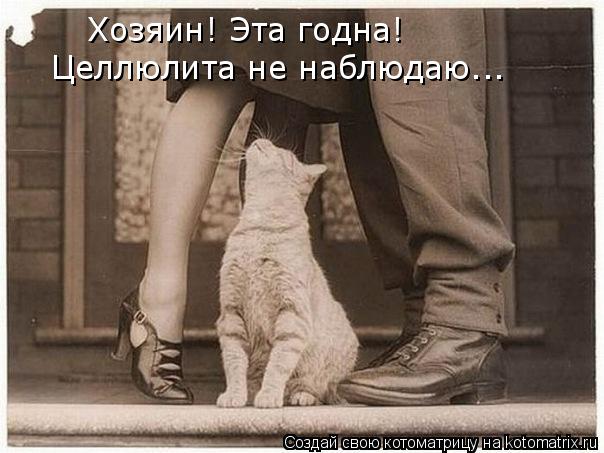 Хозяин! Эта годна! Целлюлита не наблюдаю...... Котоматрица: Хозяин! Эта годна! Целлюлита не наблюдаю...