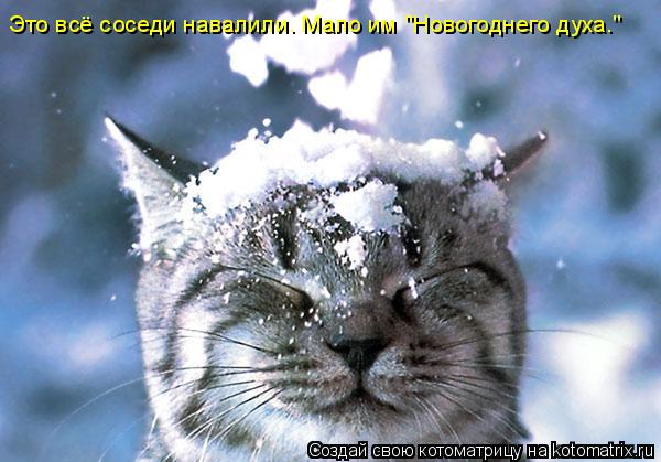 Это всё соседи навалили. Мало им "Новогоднего духа."... Котоматрица: Это всё соседи навалили. Мало им "Новогоднего духа."