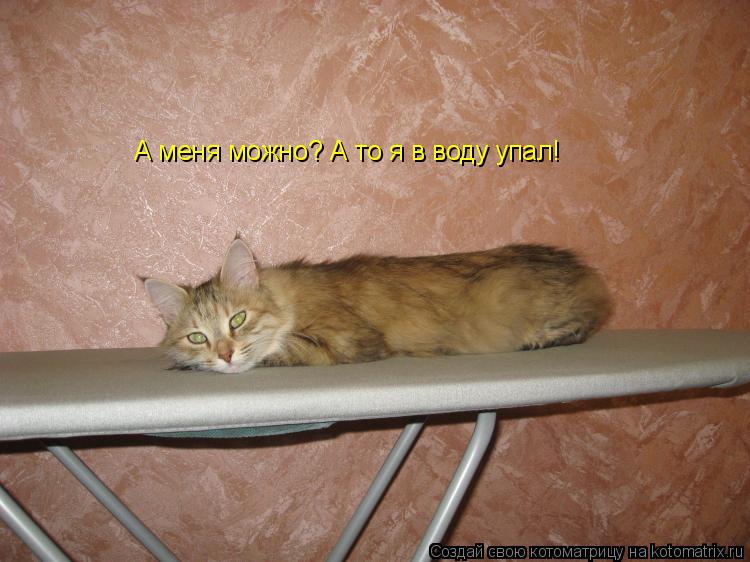 Котоматрица: А меня можно? А то я в воду упал!