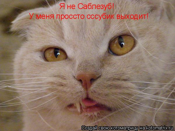 Котоматрица: Я не Саблезуб! У меня проссто сссубик выходит!