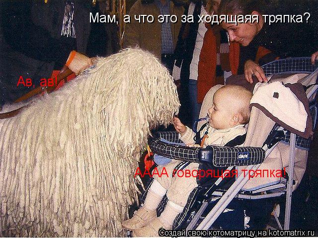 Котоматрица: Мам, а что это за ходящаяя тряпка? Ав, ав! АААА говорящая тряпка!