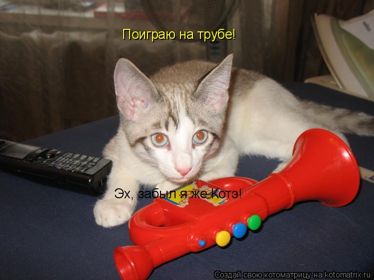 Котоматрица: Поиграю на трубе! Эх, забыл я же Котэ!