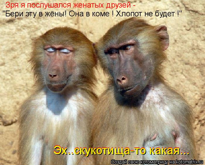 Котоматрица: Зря я послушался женатых друзей - "Бери эту в жёны! Она в коме ! Хлопот не будет !" Эх..скукотища-то какая... Эх..скукотища-то какая...