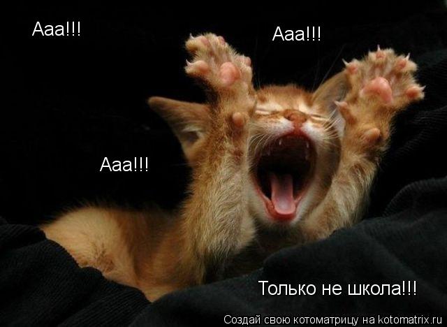 Котоматрица: Ааа!!! Ааа!!! Ааа!!! Только не школа!!!