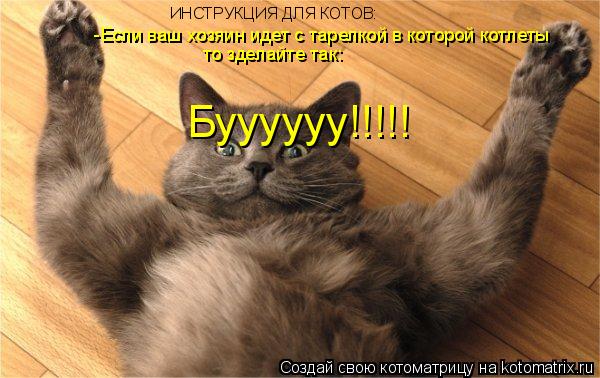 Котоматрица: ИНСТРУКЦИЯ ДЛЯ КОТОВ : -Если ваш хозяин идет с тарелкой в которой котлеты то зделайте так: Буууууу!!!!!