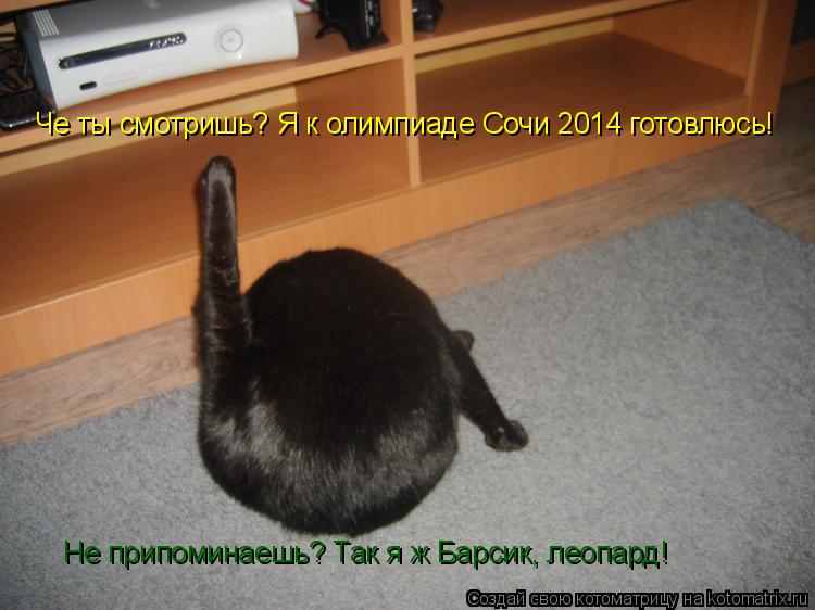Котоматрица: Че ты смотришь? Я к олимпиаде Сочи 2014 готовлюсь! Не припоминаешь? Так я ж Барсик, леопард!