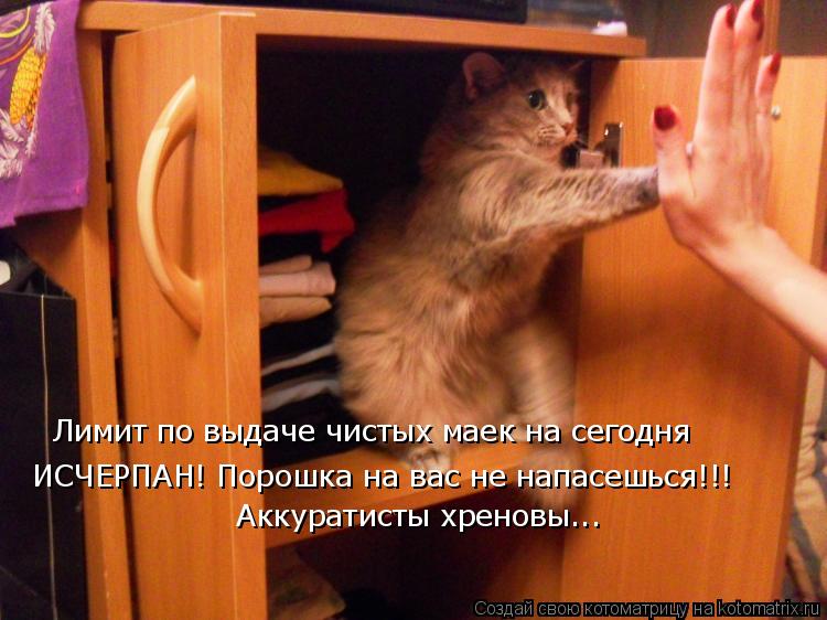 Котоматрица: Лимит по выдаче чистых маек на сегодня ИСЧЕРПАН! Порошка на вас не напасешься!!! Аккуратисты хреновы...