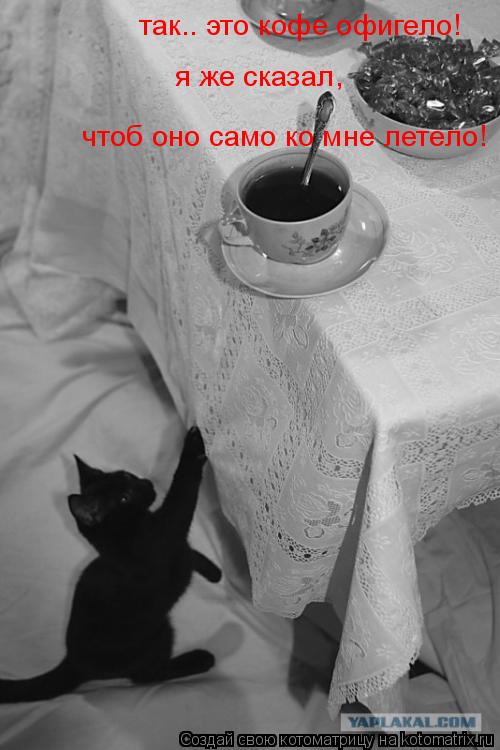 Котоматрица: так.. это кофе офигело! я же сказал,  чтоб оно само ко мне летело!