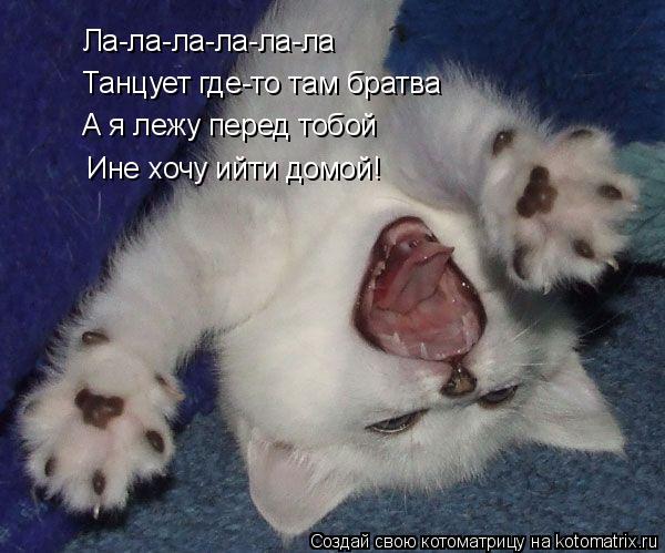 Котоматрица: Ла-ла-ла-ла-ла-ла Танцует где-то там братва А я лежу перед тобой  Ине хочу ийти домой!