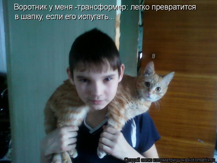 Котоматрица: Воротник у меня -трансформер: легко превратится  в шапку, если его испугать...