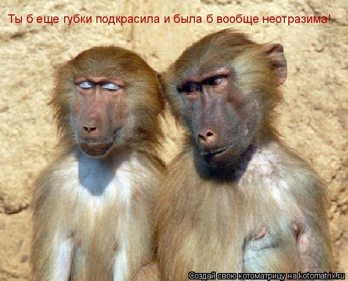Котоматрица: Ты б еще губки подкрасила и была б вообще неотразима!