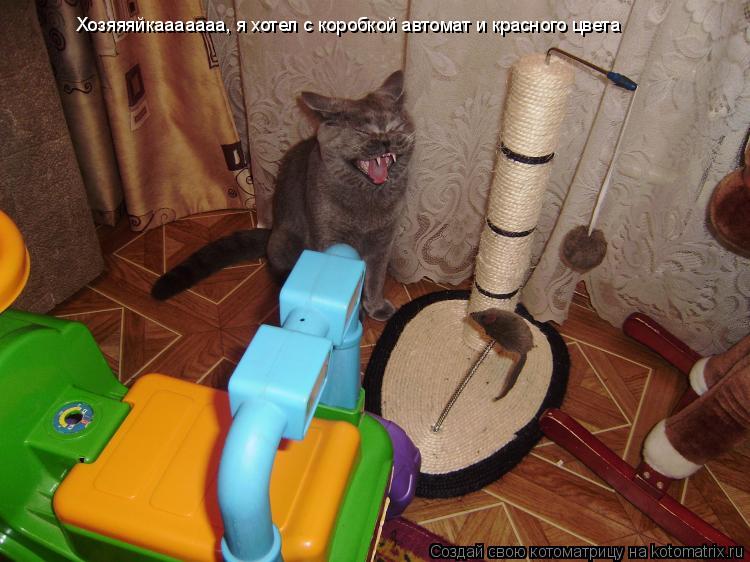 Котоматрица: Хозяяяйкааааааа, я хотел с коробкой автомат и красного цвета