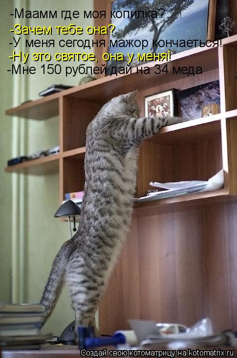 -Маамм где моя копилка? -Зачем тебе она? -У меня сегодня мажор кончаеться! -Ну это святое, она у меня... Котоматрица: -Маамм где моя копилка? -Зачем тебе она? -У меня сегодня мажор кончаеться! -Ну это святое, она у меня! -Мне 150 рублей дай на 34 меда