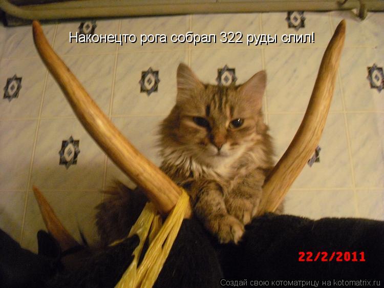 Наконецто рога собрал 322 руды слил!... Котоматрица: Наконецто рога собрал 322 руды слил!