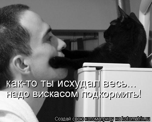 Котоматрица: надо вискасом подкормить! как-то ты исхудал весь...