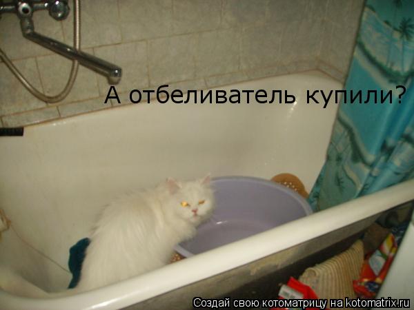А отбеливатель купили?... Котоматрица: А отбеливатель купили?
