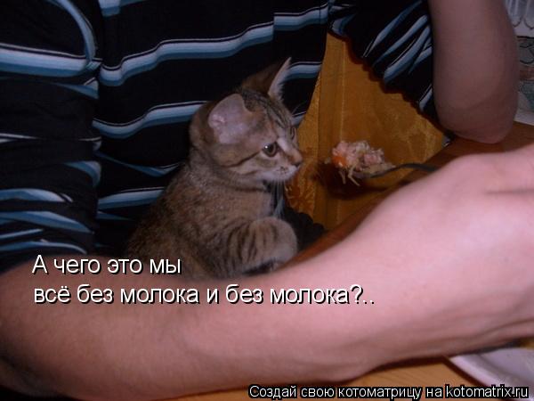 А чего это мы всё без молока и без молока?..... Котоматрица: А чего это мы всё без молока и без молока?..