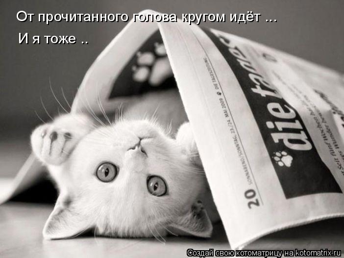 От прочитанного голова кругом идёт ... И я тоже ..... Котоматрица: От прочитанного голова кругом идёт ... И я тоже ..