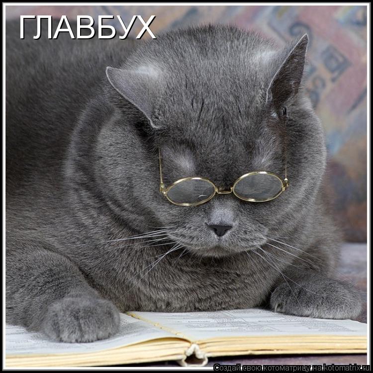 ГЛАВБУХ... Котоматрица: ГЛАВБУХ