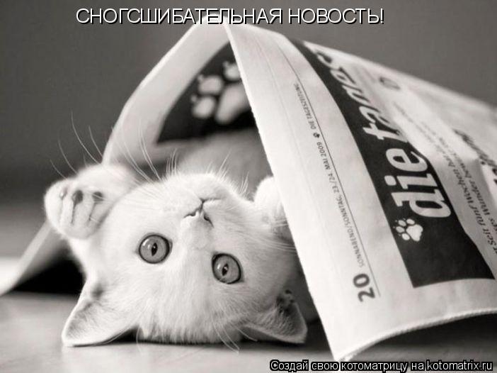 Котоматрица: СНОГСШИБАТЕЛЬНАЯ НОВОСТЬ!