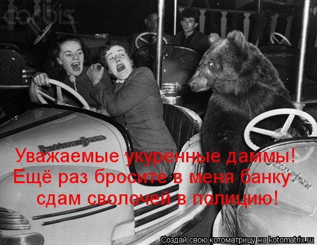 Котоматрица: Уважаемые укуренные даммы! Ещё раз бросите в меня банку сдам сволочей в полицию!