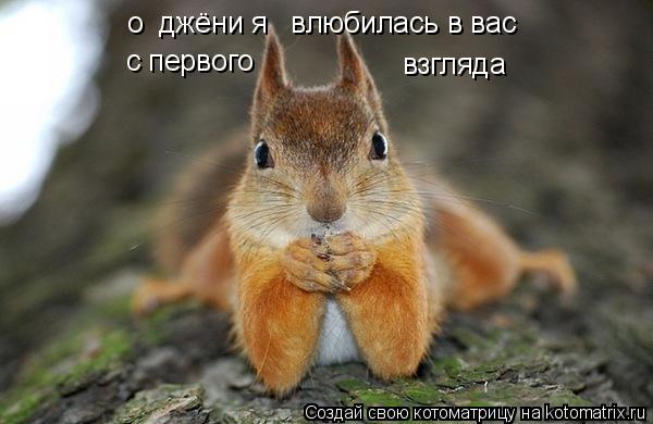 Котоматрица: о  джёни я   влюбилась в вас  с первого взгляда