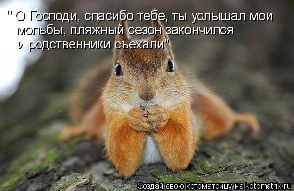 Котоматрица: " О Господи, спасибо тебе, ты услышал мои    мольбы, пляжный сезон закончился     и родственники съехали"