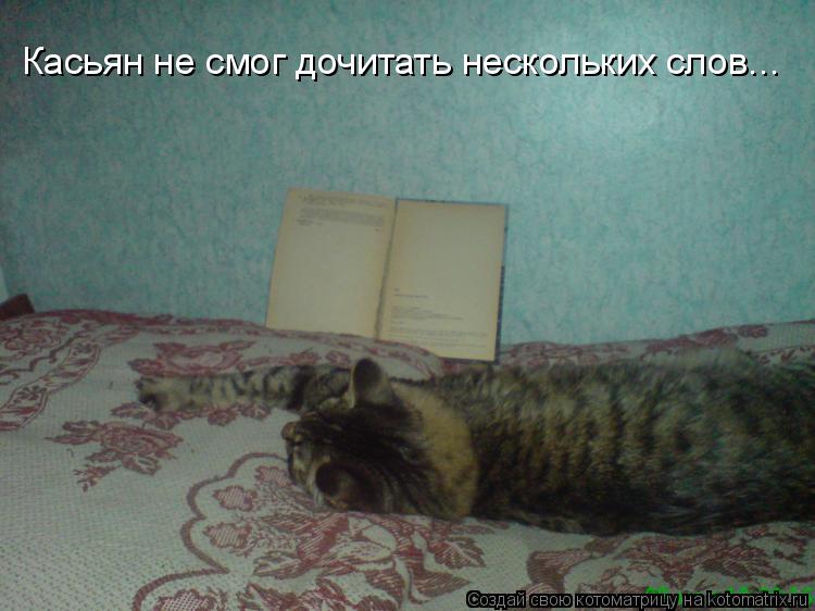 Касьян не смог дочитать нескольких слов...... Котоматрица: Касьян не смог дочитать нескольких слов...