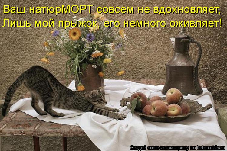 Ваш натюрМОРТ совсем не вдохновляет, Лишь мой прыжок, его немного оживляет!... Котоматрица: Ваш натюрМОРТ совсем не вдохновляет, Лишь мой прыжок, его немного оживляет!