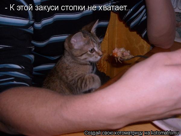 - К этой закуси стопки не хватает...... Котоматрица: - К этой закуси стопки не хватает...