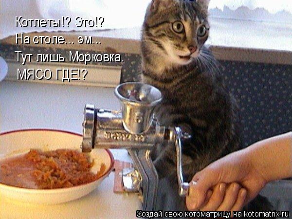 Котлеты!? Это!? На столе... эм... Тут лишь Морковка. МЯСО ГДЕ!?... Котоматрица: Котлеты!? Это!? На столе... эм... Тут лишь Морковка. МЯСО ГДЕ!?