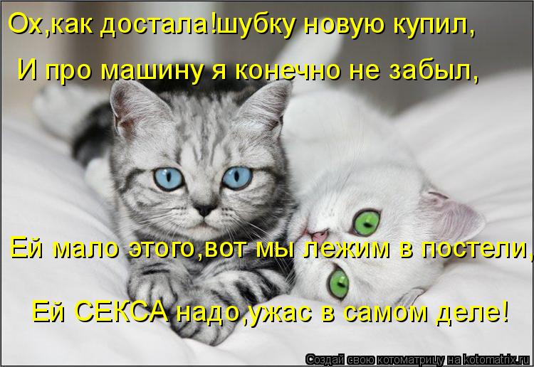 Ох,как достала!шубку новую купил, И про машину я конечно не забыл, Ей мало этого,вот мы лежим в посте... Котоматрица: Ох,как достала!шубку новую купил, И про машину я конечно не забыл, Ей мало этого,вот мы лежим в постели, Ей СЕКСА надо,ужас в самом деле!
