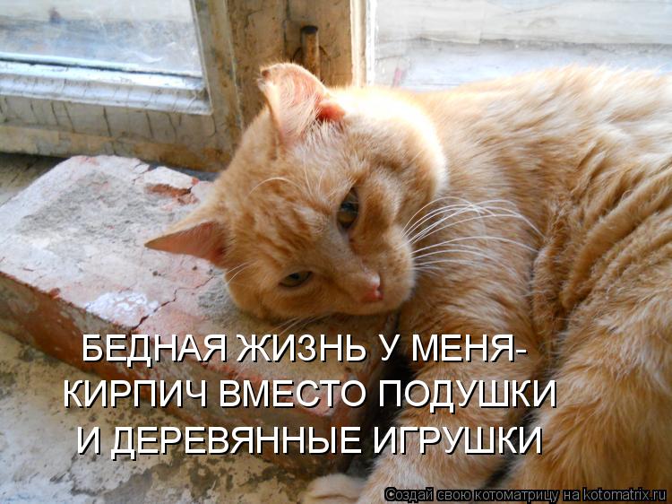 КИРПИЧ ВМЕСТО ПОДУШКИ И ДЕРЕВЯННЫЕ ИГРУШКИ БЕДНАЯ ЖИЗНЬ У МЕНЯ-... Котоматрица: КИРПИЧ ВМЕСТО ПОДУШКИ И ДЕРЕВЯННЫЕ ИГРУШКИ БЕДНАЯ ЖИЗНЬ У МЕНЯ-