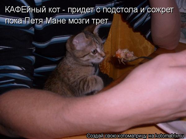 КАФЕйный кот - придет с подстола и сожрет пока Петя Мане мозги трет... Котоматрица: КАФЕйный кот - придет с подстола и сожрет пока Петя Мане мозги трет