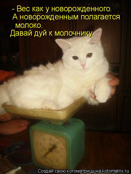- Вес как у новорожденного. А новорожденным полагается молоко. Давай дуй к молочнику.... Котоматрица: - Вес как у новорожденного. А новорожденным полагается молоко. Давай дуй к молочнику.
