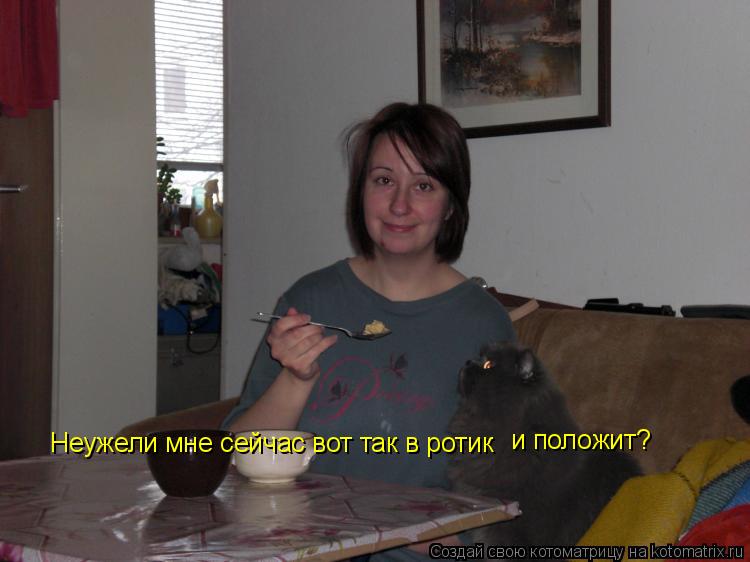 Неужели мне сейчас вот так в ротик и положит?... Котоматрица: Неужели мне сейчас вот так в ротик и положит?