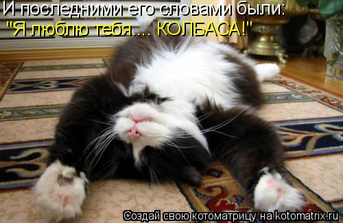И последними его словами были: "Я люблю тебя.... КОЛБАСА!"... Котоматрица: И последними его словами были: "Я люблю тебя.... КОЛБАСА!"