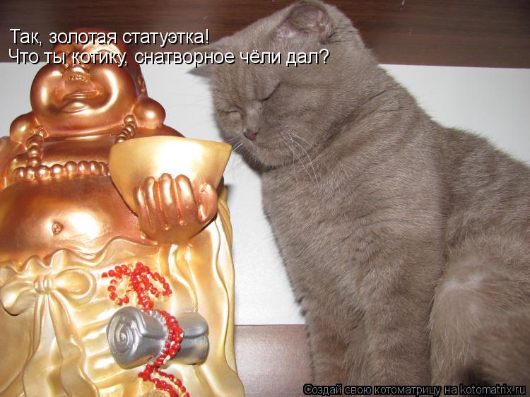 Так, золотая статуэтка! Что ты котику, снатворное чёли дал?... Котоматрица: Так, золотая статуэтка! Что ты котику, снатворное чёли дал?