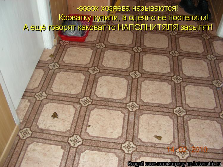 -ээээх хозяева называются! Кроватку купили, а одеяло не постелили! А ещё говорят каковат то НАПОЛНИТ... Котоматрица: -ээээх хозяева называются! Кроватку купили, а одеяло не постелили! А ещё говорят каковат то НАПОЛНИТЯЛЯ засыпят!
