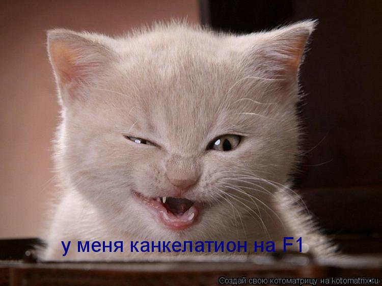 у меня канкелатион на F1... Котоматрица: у меня канкелатион на F1