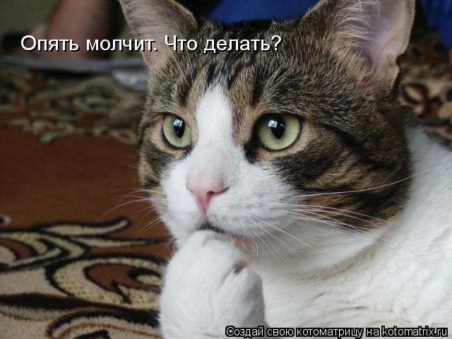 Опять молчит. Что делать?... Котоматрица: Опять молчит. Что делать?